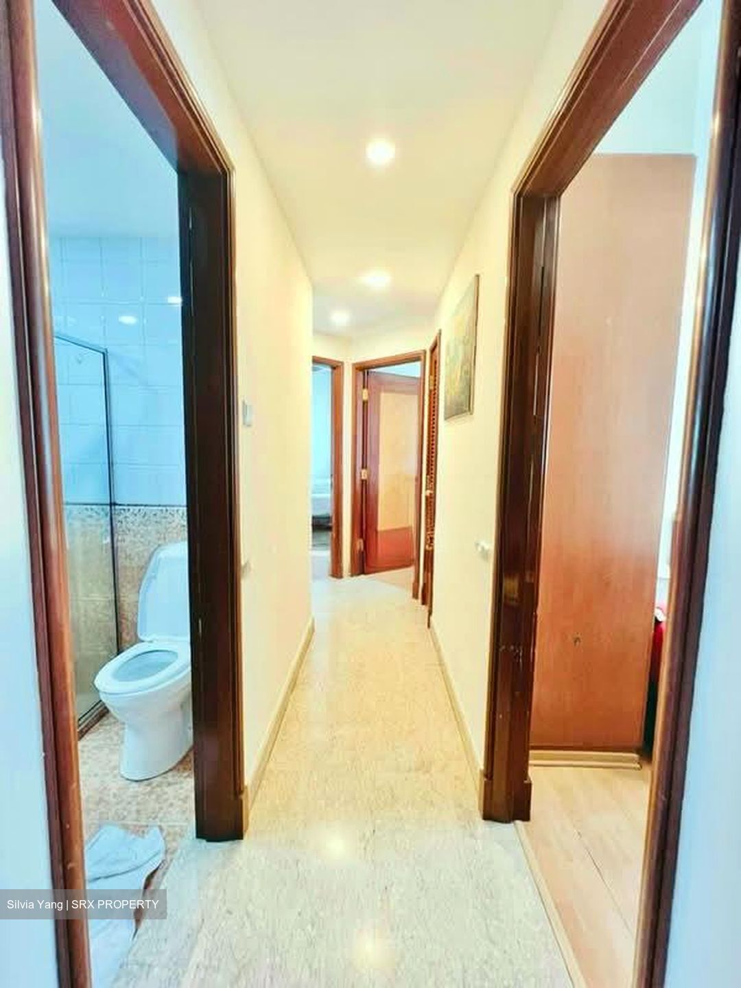 Sunshine Plaza (D7), Apartment #573946921